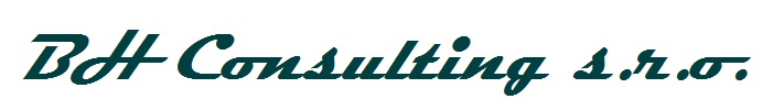 logo BH Consulting